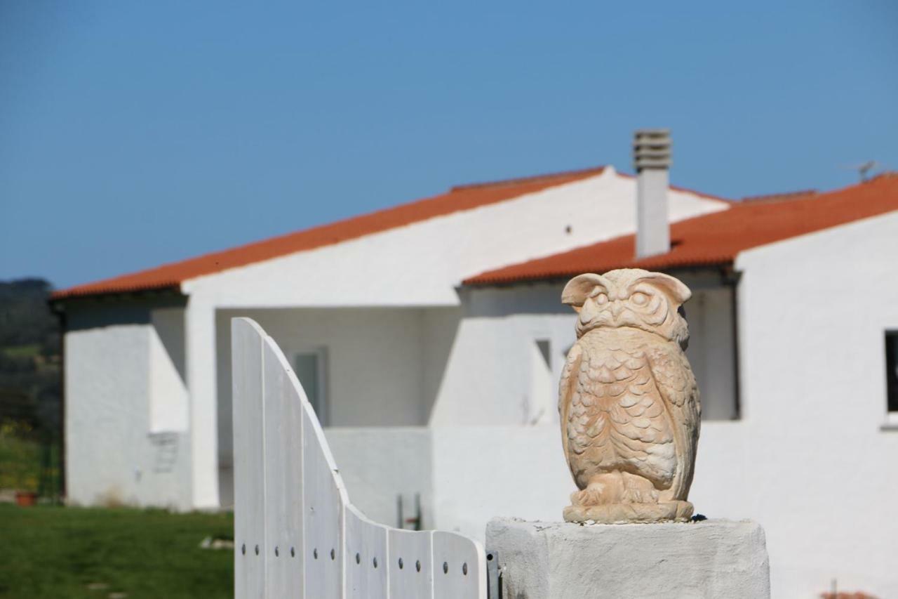 Bed & Breakfast Anacleto