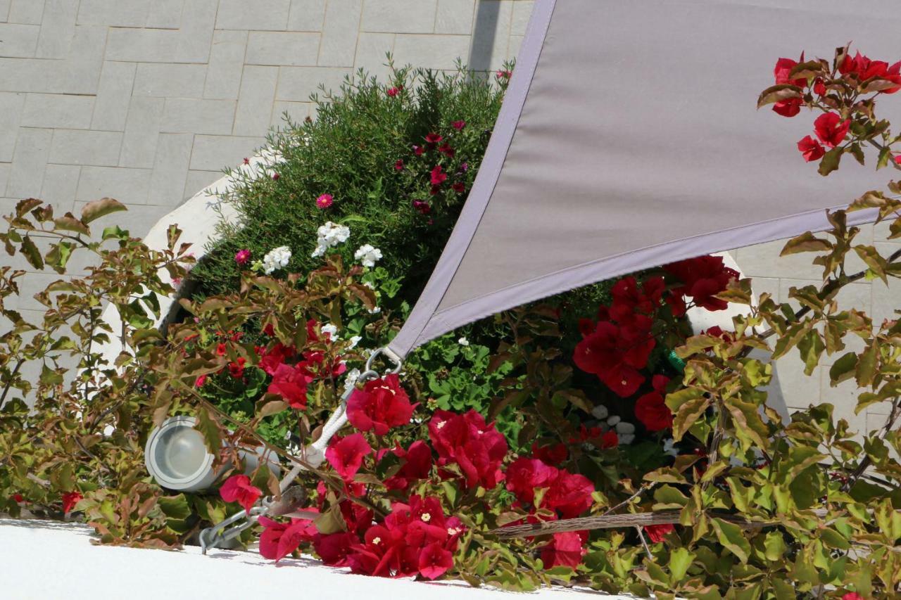 Anacleto Bed & Breakfast 3*