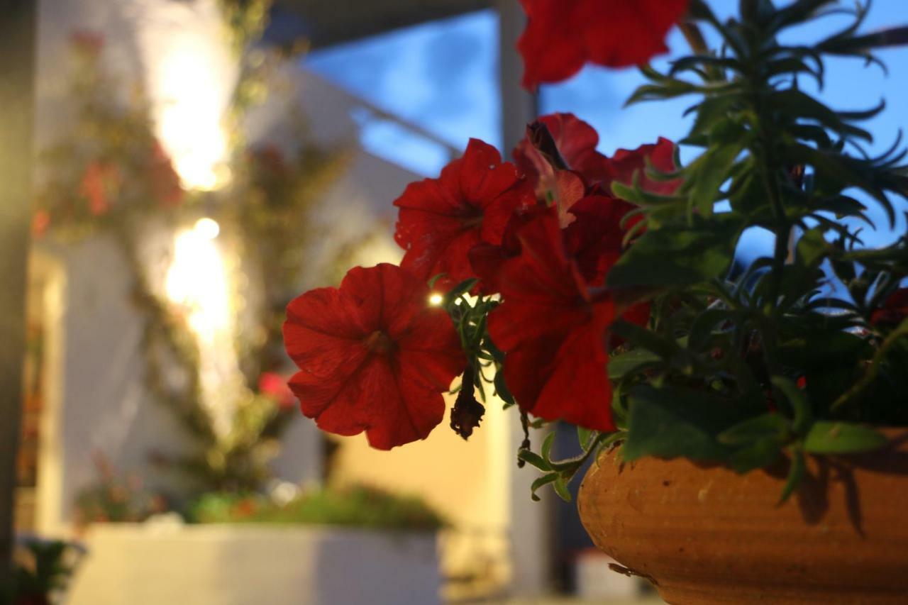 Bed & Breakfast Anacleto Bassacutena