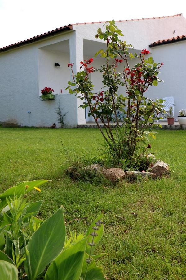 Anacleto Bed & Breakfast